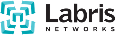 Labris Networks logosu
