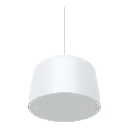 Axis AXIS C1510 — Sarkıt Ağ Hoparlörü (Büyük)