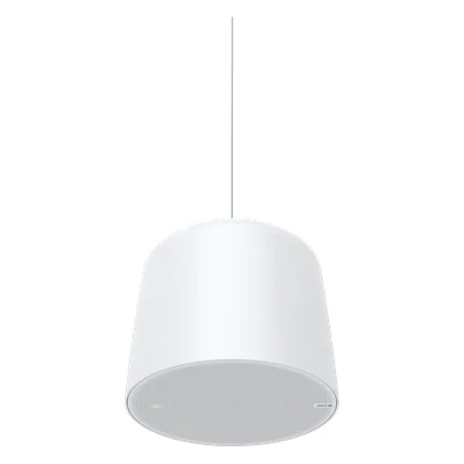 Axis AXIS C1511 — Sarkıt Ağ Hoparlörü (Küçük)